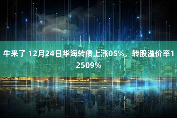 牛来了 12月24日华海转债上涨05%，转股溢价率12509%