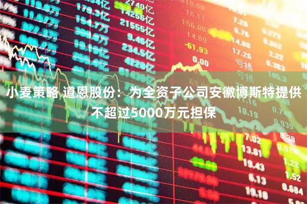 小麦策略 道恩股份：为全资子公司安徽博斯特提供不超过5000万元担保