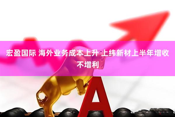 宏盈国际 海外业务成本上升 上纬新材上半年增收不增利