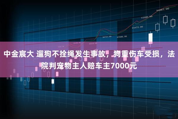中金宸大 遛狗不拴绳发生事故，狗重伤车受损，法院判宠物主人赔车主7000元